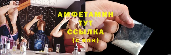 ECSTASY Алзамай