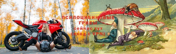 ECSTASY Алзамай