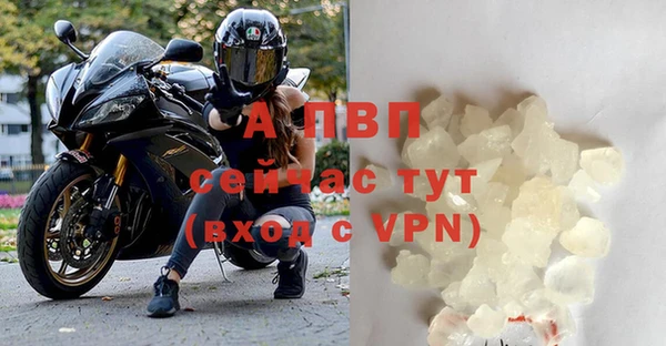 гидра Алексеевка
