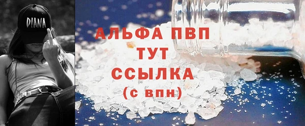 гидра Алексеевка