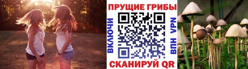 Псилоцибиновые грибы мицелий  Каменск-Уральский 