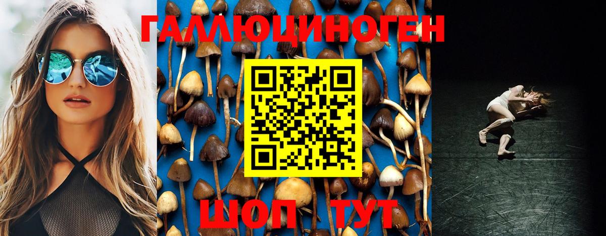 Псилоцибиновые грибы Psilocybine cubensis  Вход с VPN  наркошоп  Каменск-Уральский 